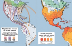 Infographics + Maps: Various Conservation Organizations Infographics + Maps: Various Conservation Organizations