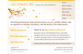 Logo + Website + Blog + Collateral: Dr. Lisa Schwartz Medical Practice Logo + Website + Blog + Collateral: Dr. Lisa Schwartz Medical Practice